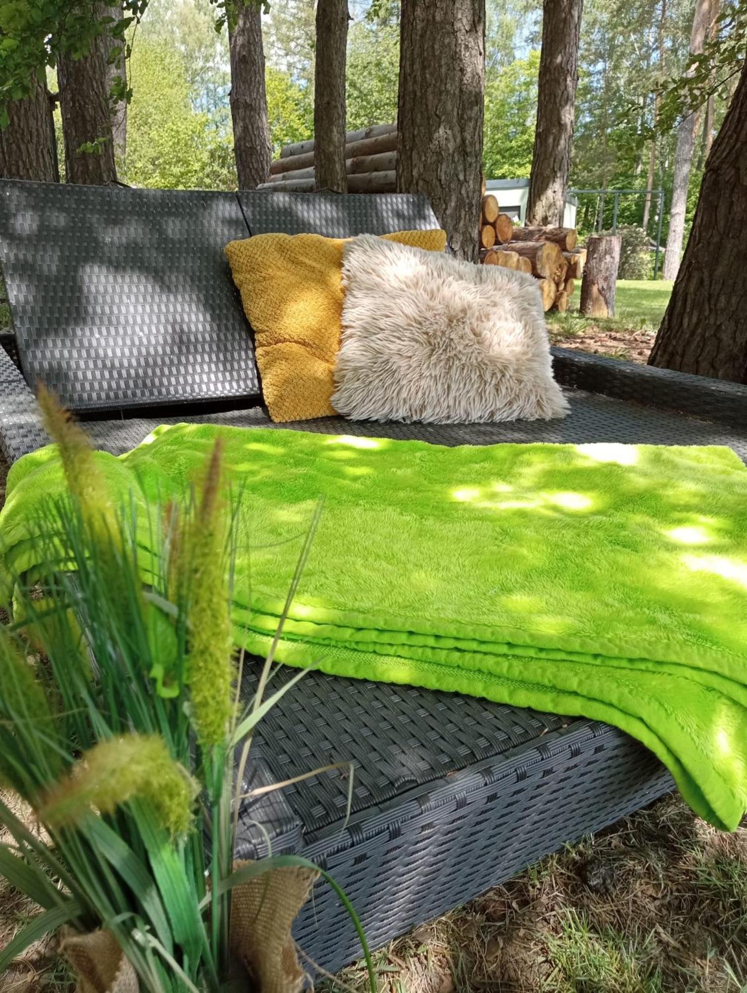 Ferienhaus Waldesruh In Idyllischer Lage, Erholung Pur Oppach Dış mekan fotoğraf